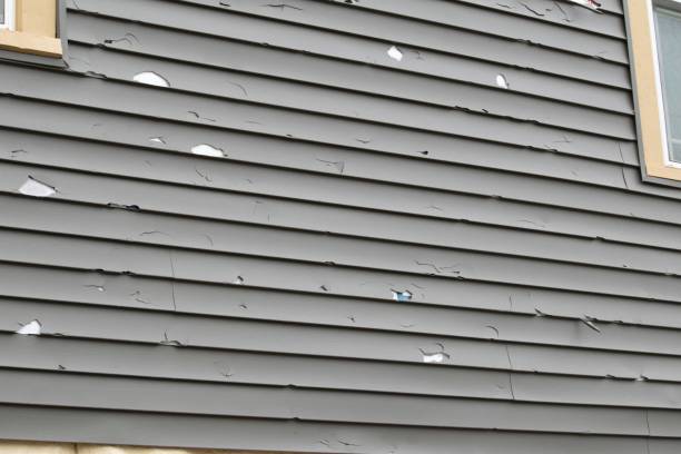 Reliable Windermere, FL Junk Removal Solutions